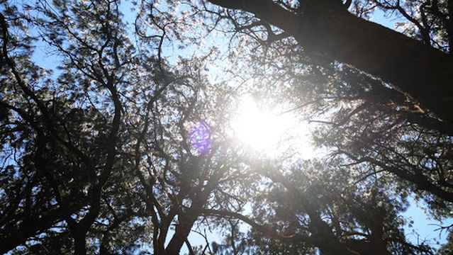 Centro de Recreo SITET