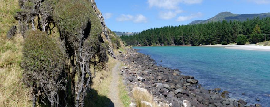 Purakaunui Estuary Track