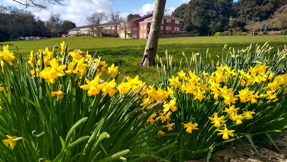 Northwood House & Park