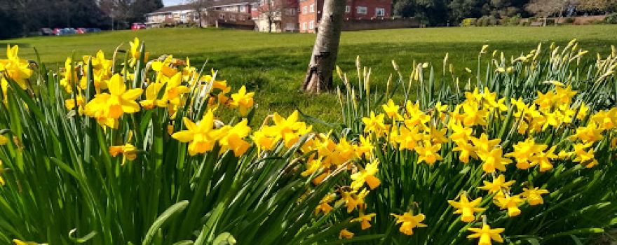 Northwood House & Park