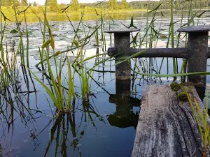 Sob "Vrevo"