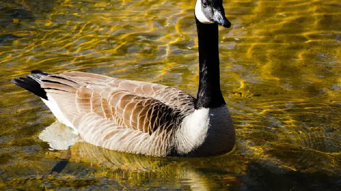 Glenn C. Hilton, Jr. Memorial Park