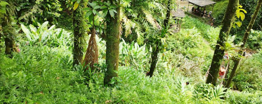 Le saut du gendarme (cascade)