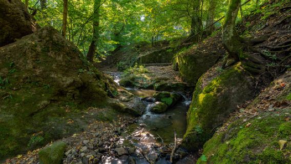 Devil's Mill Waterfall