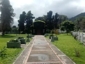 Iglesia de Hiedra
