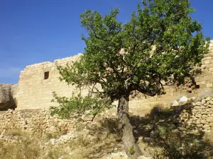 St. Gregory Monastery of Aparank