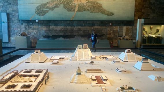 墨西哥城人類學博物館+索馬亞博物館+巴斯孔塞洛斯圖書館一日遊