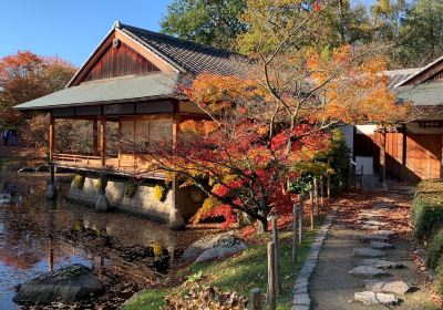Japanese Garden