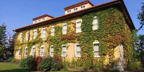 神奈川縣立花菜花園