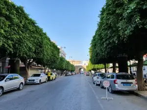 Ave De France
