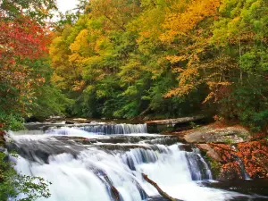 Bald River Falls