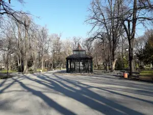 Singing Fountain