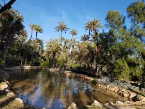 Parque El Palmeral