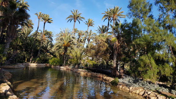 Parque El Palmeral