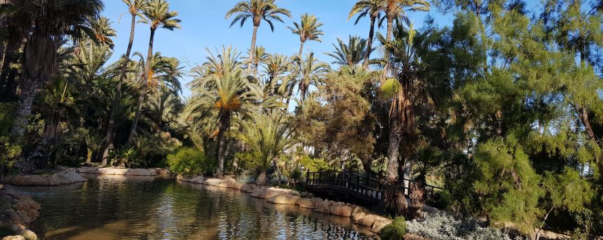 Parque El Palmeral