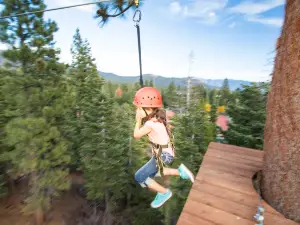Tahoe Treetop Adventure Parks