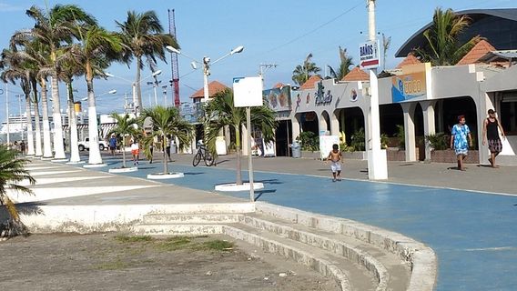 Malecon Escenico Murcielago