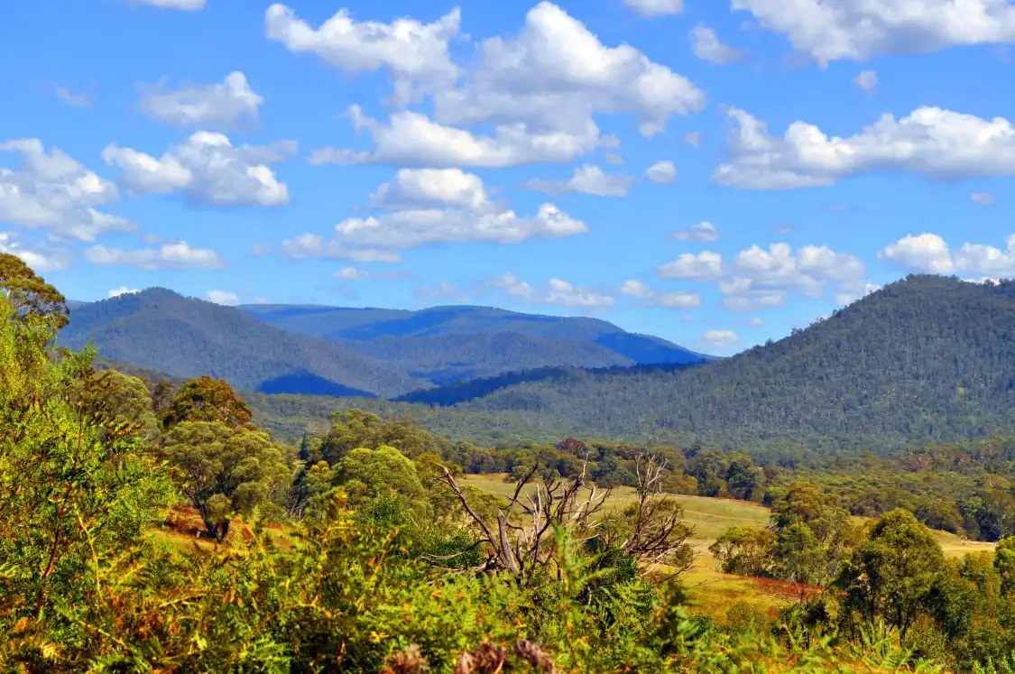 Hotels near Snowy Mountains