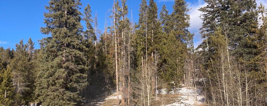 Elkhorn Hot Springs