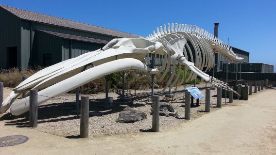 Seymour Marine Discovery Center
