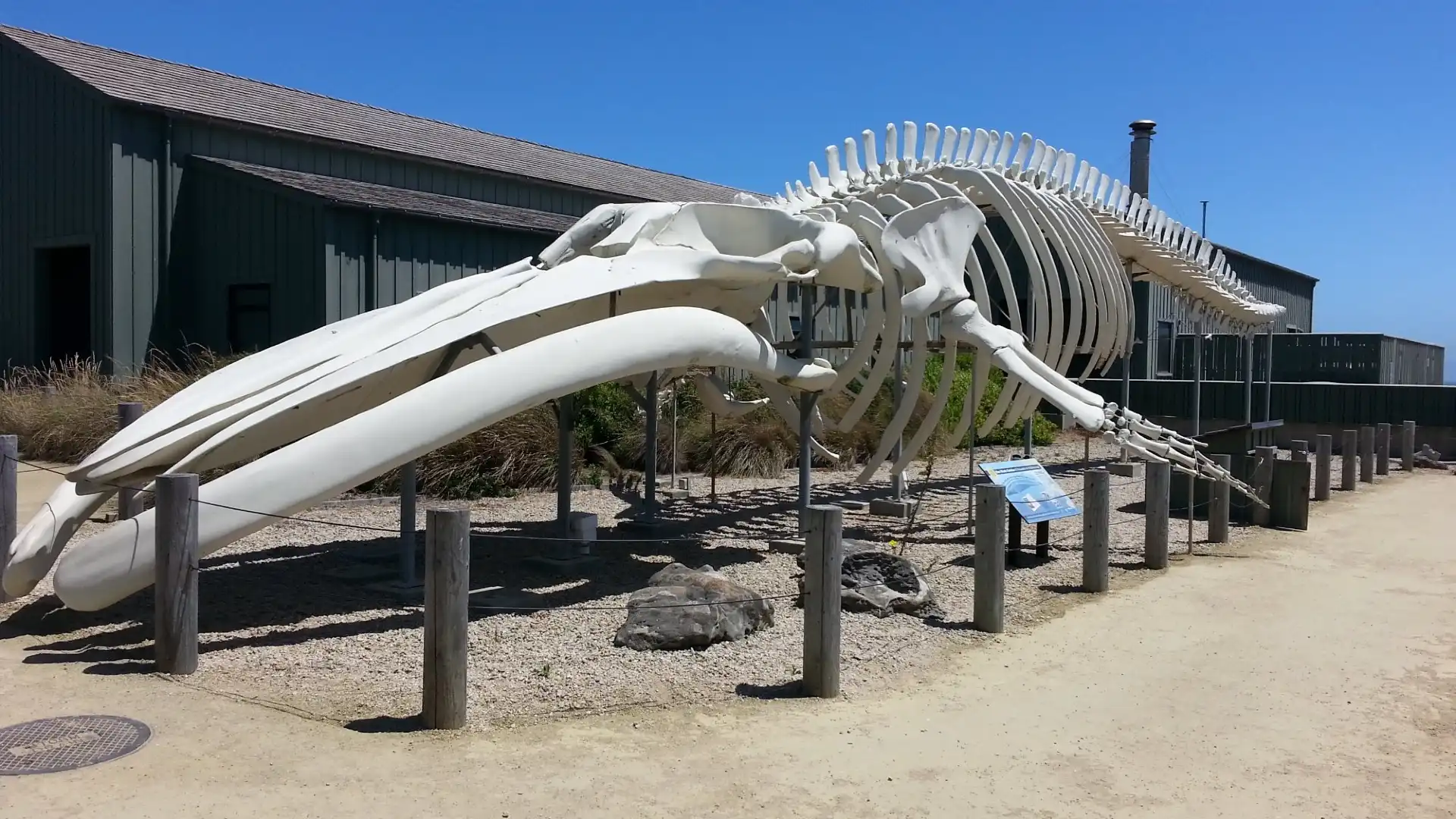 Hotels near Seymour Marine Discovery Center