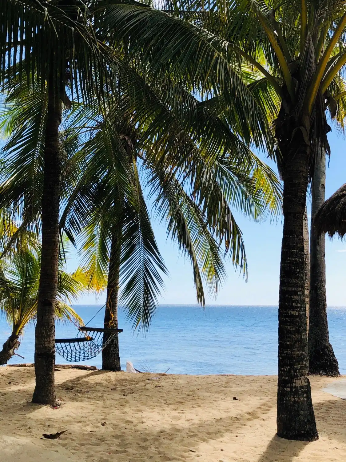 Hotels near Tubod Marine Sanctuary