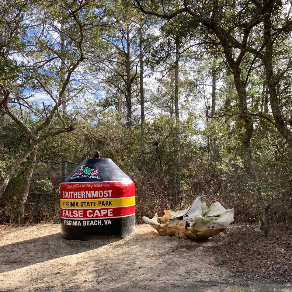 3_False Cape State Park