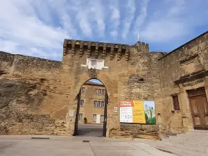 Chateau de l'Emperi