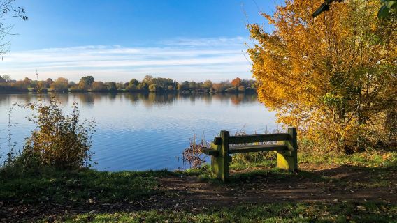 Ferry Meadows in Nene Park