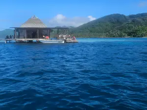 Huahine Pearl Farm