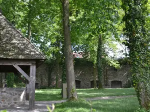 Schlosspark