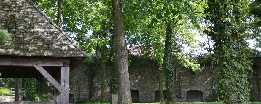 Schlosspark