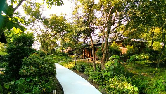 Aso Otohime Onsen Yurayura