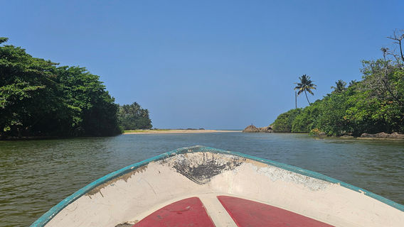 Mangrove Cave River Safari