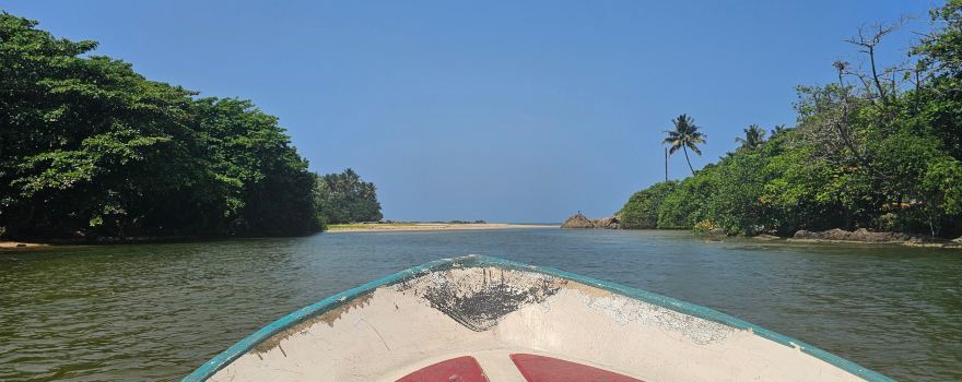Mangrove Cave River Safari