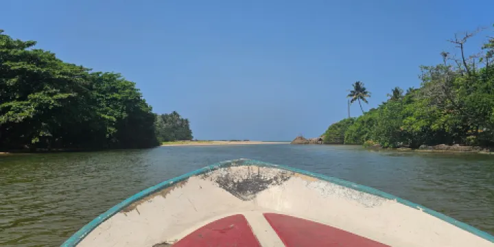 Mangrove Cave River Safari