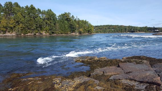 Заказник Тидал Фолс