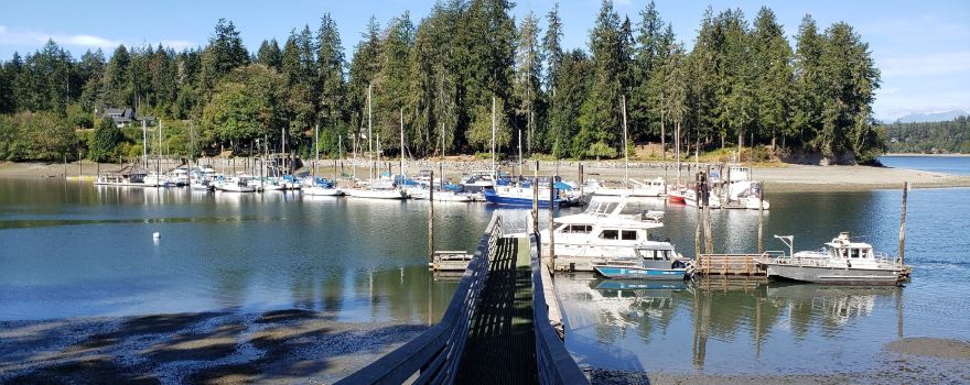 Shelton