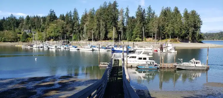 Shelton