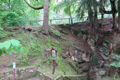 Chynovska Cave