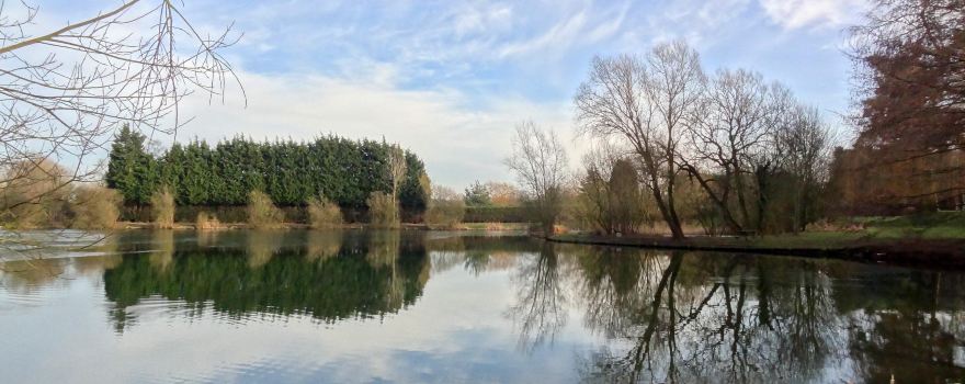 Woodland Waters Fishing
