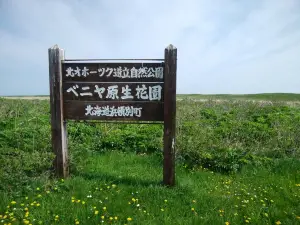 Beniya Natural Flower Garden