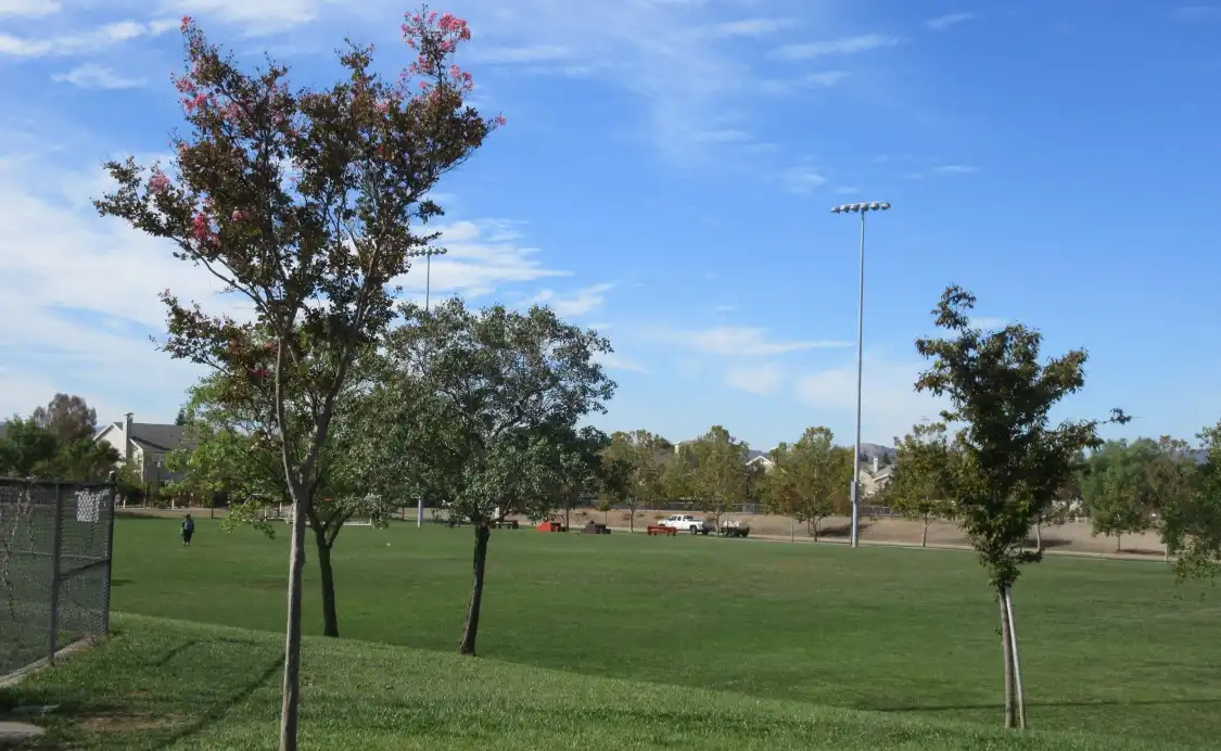 Hotels near Robertson Park