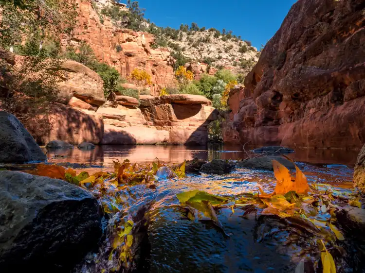 Yavapai County