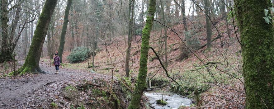 Fairy Glen