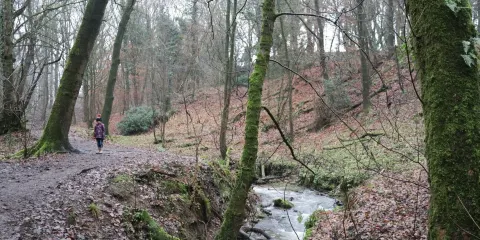 Fairy Glen