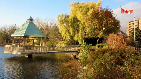 Mill Pond