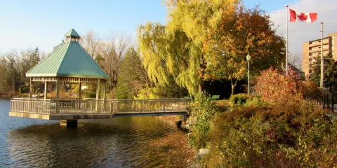 Mill Pond