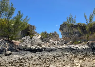 Whiteland Beach