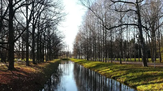 Drakonov Bridge
